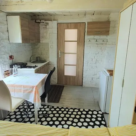 Studio Dla Dwojga Z Mini Kuchnia Poznan