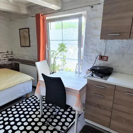 Studio Dla Dwojga Z Mini Kuchnia * Poznan