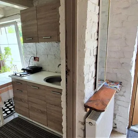 Studio Dla Dwojga Z Mini Kuchnia * Poznan